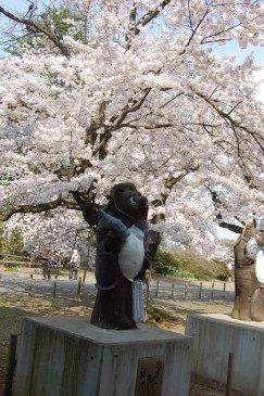 20150402関根さん3