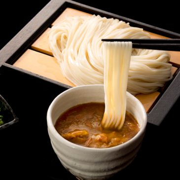 curry_udon