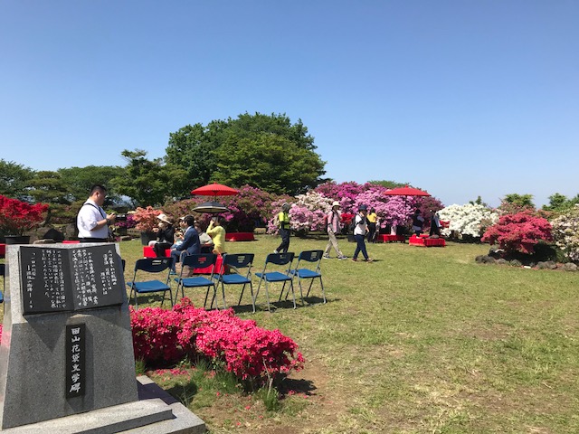 館林 つつじが岡公園(花山公園)　ツツジ広場のお茶会イベント