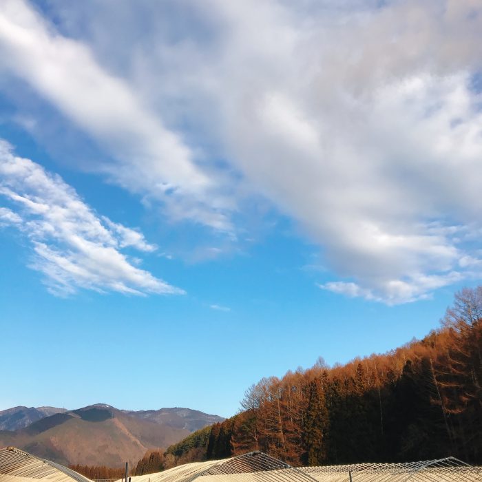 沼田市の景色