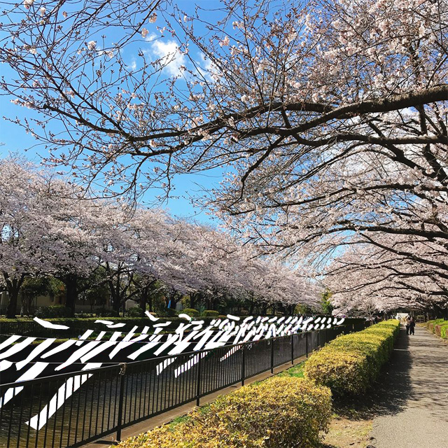 エイプリルフール 鬼ひも川のぼり1