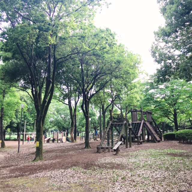 アスレチック公園