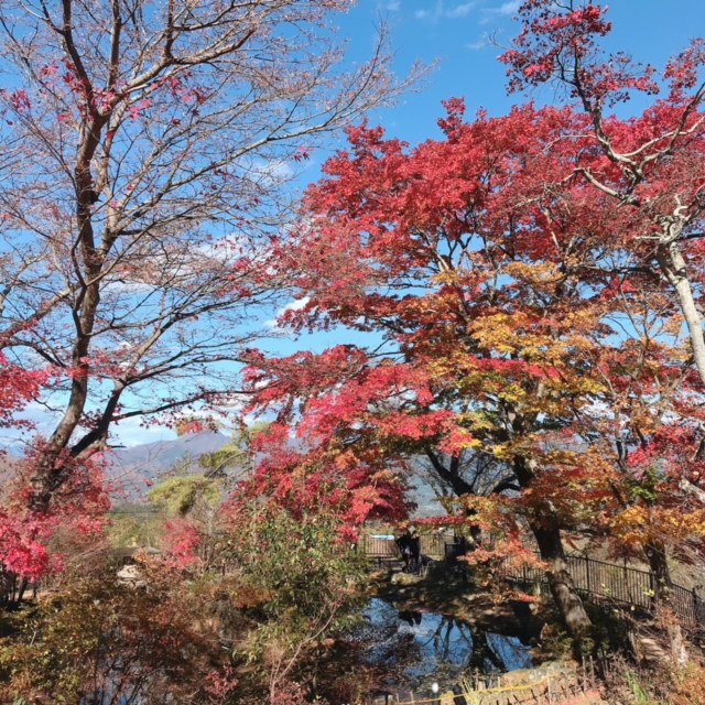 伊香保ハワイ公使別邸付近の紅葉と池