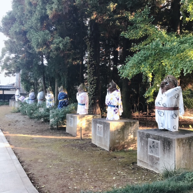 茂林寺の狸_ずらり