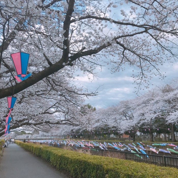 20220327鶴生田川1