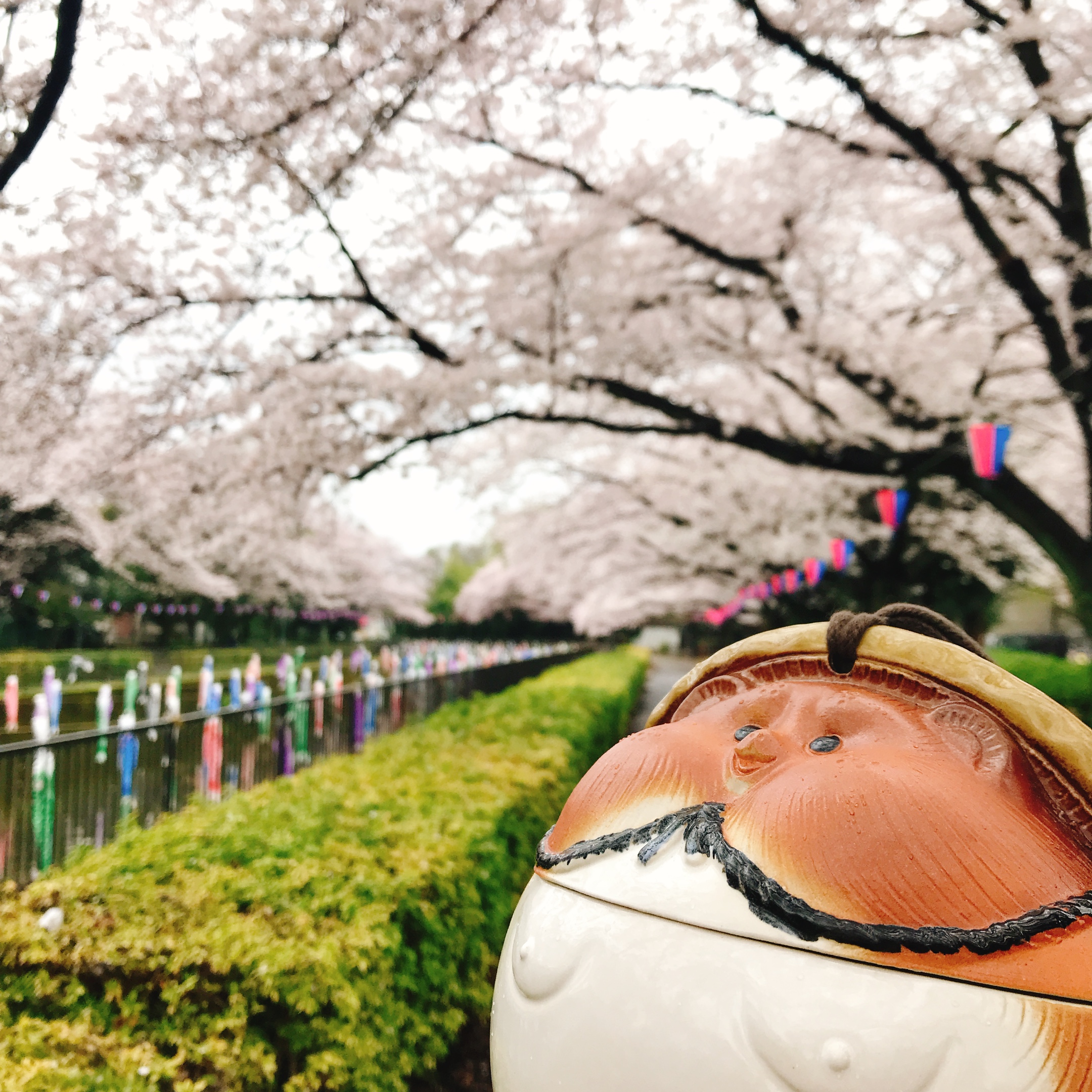 こいのぼり Amazon.co.jp: Koinobori Carp Streamer, Set of 5 Colors, 21.7