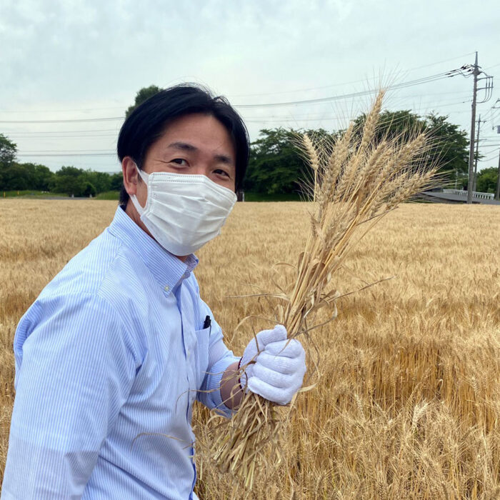 百年小麦の収穫_島田