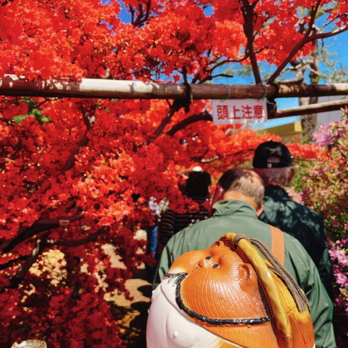 花山公園のツツジ「頭上注意」