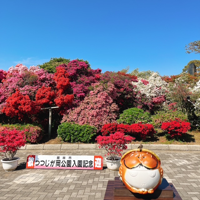 20250427_開花状況