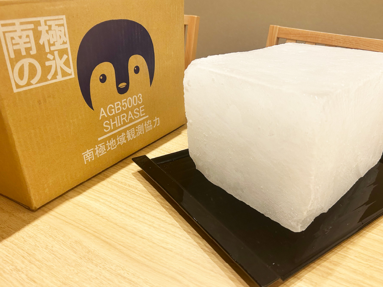 南極の氷