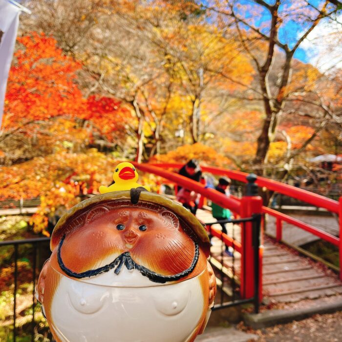 伊香保_紅葉_河鹿橋_20241124